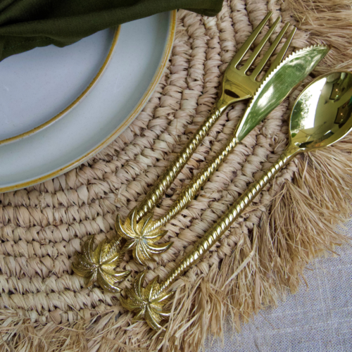 casa krullenbol 20 01 2026 11