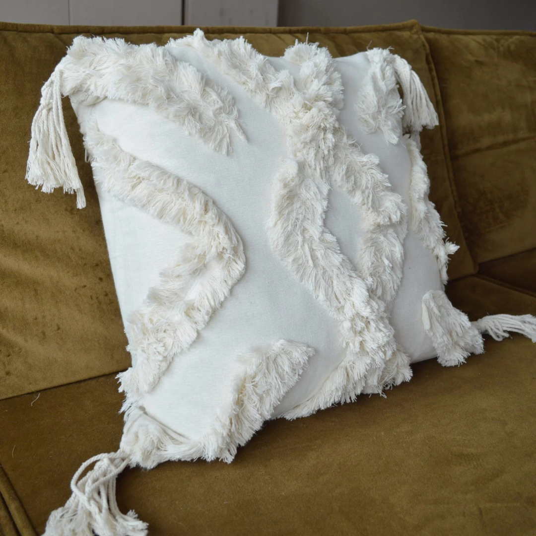 casa krullenbol 20 01 2026 2