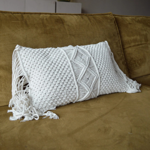 casa krullenbol 20 01 2026 3