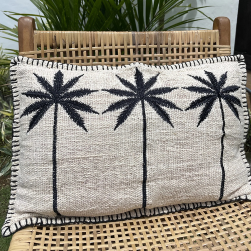 casa krullenbol 20 01 2026 4