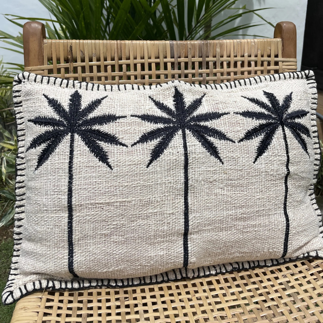 casa krullenbol 20 01 2026 4