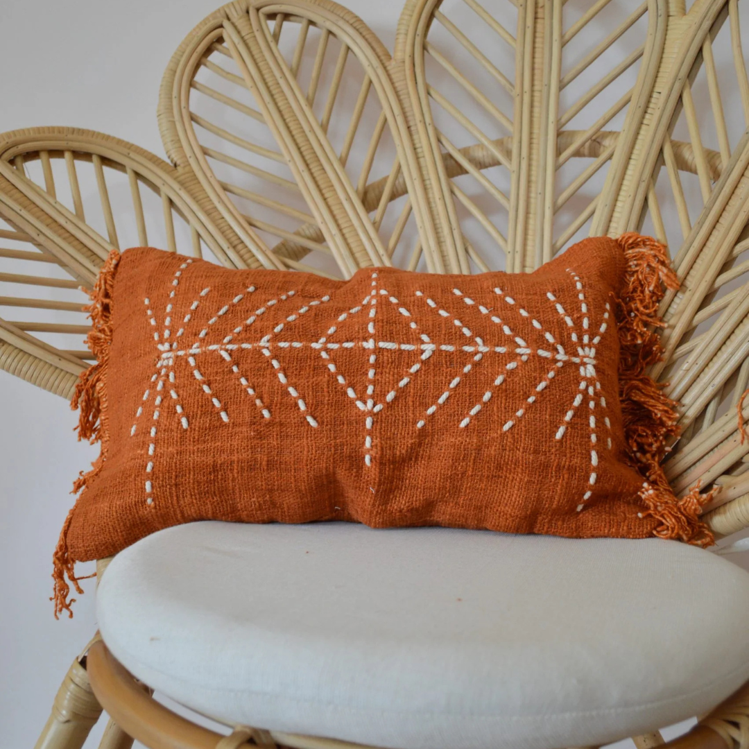 casa krullenbol 20 01 2026 6