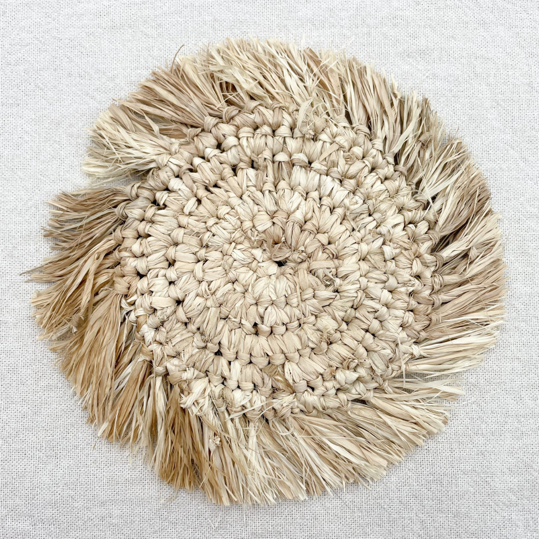 casa krullenbol 20 01 2026 9